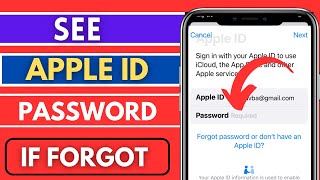 How To See Apple ID Password If You Forgot 2024|How To Reset Apple ID Password