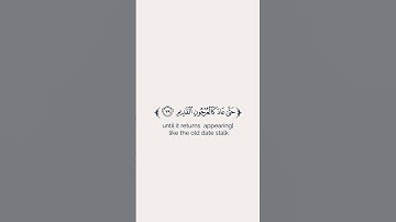 سورة يس ||القارئ: عبد الله القرني #اكسبلور #راحة_نفسية #explore #لايك #youtubesh #duet #اسلام_صبحي 😍