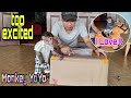 Monkey YoYo Jr was too excited to open gifts from Ms Rachel Mendoza|Monkey Baby YoYo