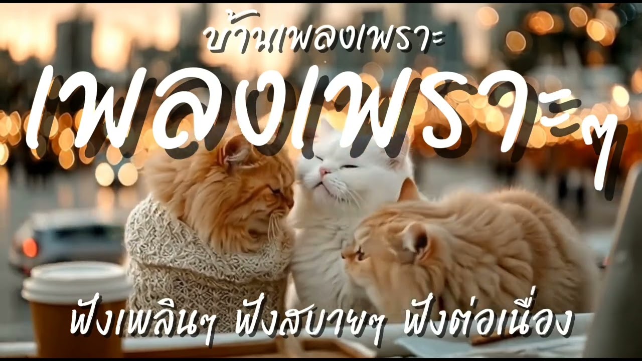 รวมเพลงเพราะๆ ฟังสบายๆ เพลงใหม่ล่าสุด 2025 ไม่มีโฆษณาคั่นบ่อย  EP.51 | บ้านเพลงเพราะ