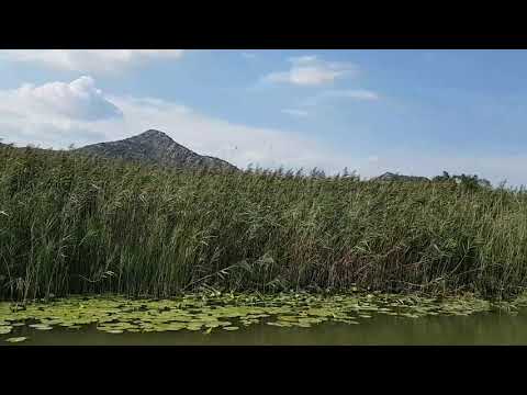 Экскурсия по Скадарскому озеру. Черногория.