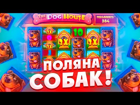 Играйте в онлайн-казино Mellstroy: рабочее зеркало для гравцев из Российской Федерации