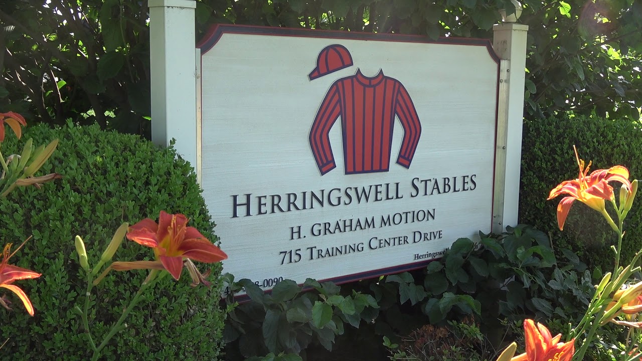 A Morning at Herringswell