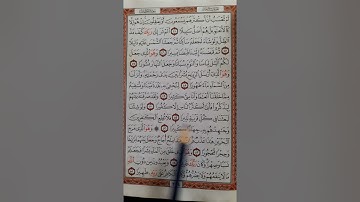 سورة الفرقان من آية (٤٤) إلى آية (٥٥) ص٣٦٤