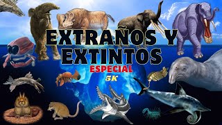 Iceberg De Los Animales Prehistóricos Extintos Más Extraños Y Terroríficos Que Existieron