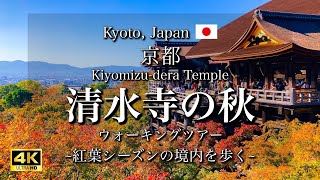 Kyoto, Japan 'Kiyomizudera Temple' | Autumn Leaves Walking Tour [4K]
