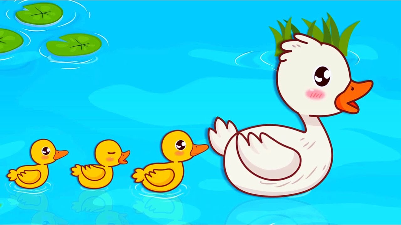 เป็ดอาบน้ำในคลอง2564 | ลูกเป็ดเหลือง แม่เป็ดขาว อาบน้ำในคลอง ตาก็จ้องแลมองเพราะในคลองมีหอยปลาปู