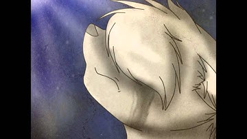 Cinderpelt MEP for GinjaNinjaOwO