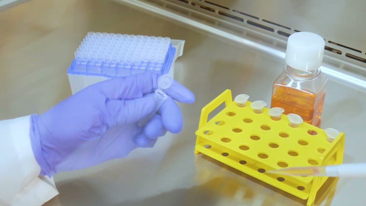 How to Safely Operate Your Biosafety Cabinet