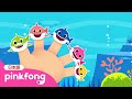 ゆびあそび サメのかぞく | サメのかぞく | Shark Finger Family 日本語バージョン | ベイビーシャークと歌おう | 子どもの歌 | ベイビーシャークとピンキッツ