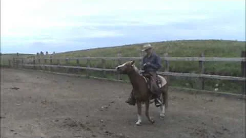 Isaac Waddington & his horse Chiko