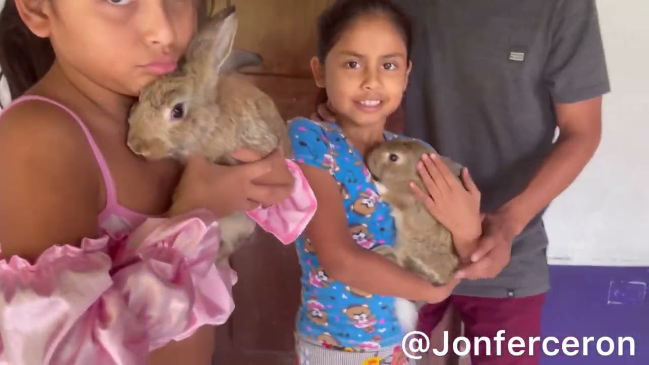 House Tour Antes/Despues🥳 (suscribete) #humor #colombia #house