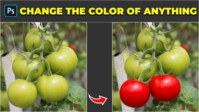 5 Ways To Mastering Color Manipulation A Step-by-step 2024