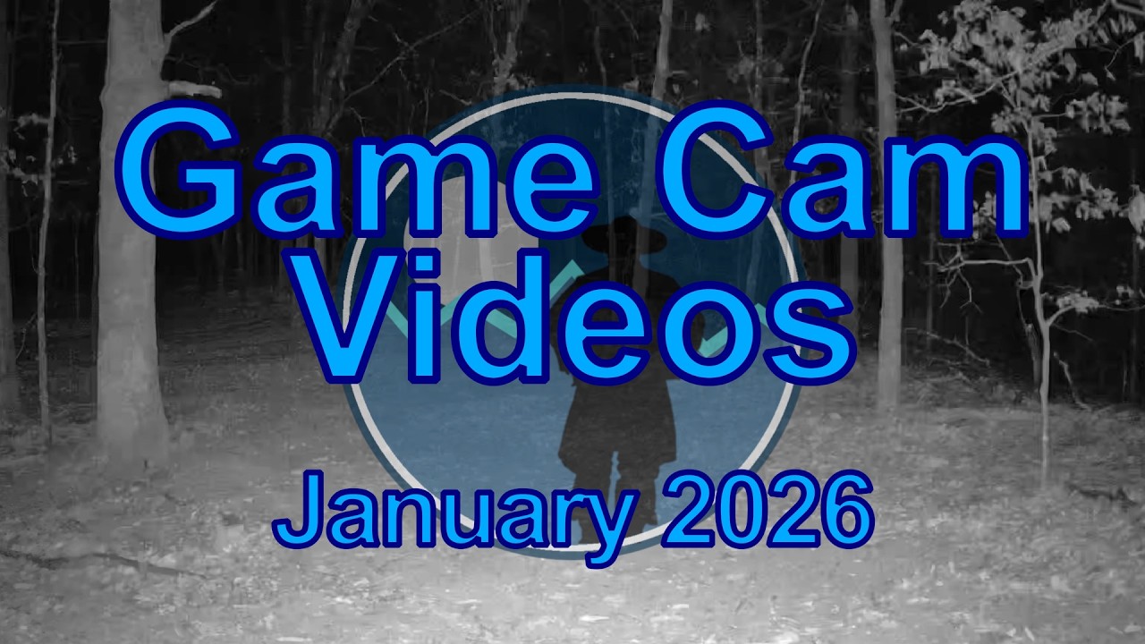 Game Camera Videos - January 1st - 31st 2026