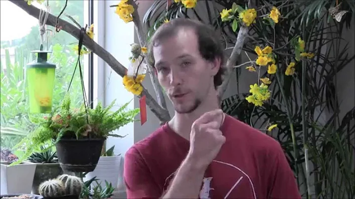 Authentic Natural Healing - Damon: Overcoming Migr...