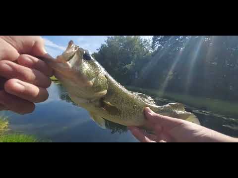 2024 Fishing 12-45 Bass Fishing
