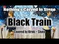 【Acoustic Cover】Black Train / Nothing's Carved In Stone 〜Hiroki &times; Shuto ver.〜