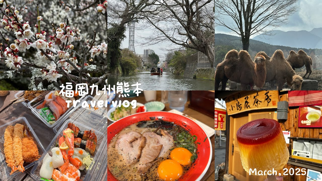 福岡八天七夜自由行✈️充滿回憶的家族旅遊| Carrie’s vlog