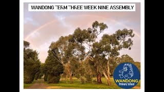 Wandong Term Three Week Nine Assembly