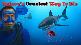 The Most Painful OCEAN Deaths Ever!