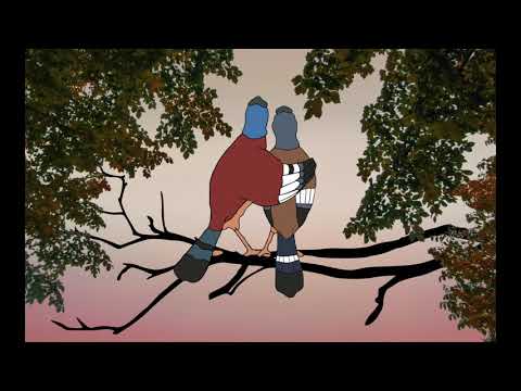 kordz - ჩიტები | chitebi