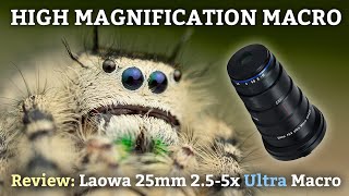 High Magnification Macro Photography w/ the Laowa 25mm 2.5-5x screenshot 1