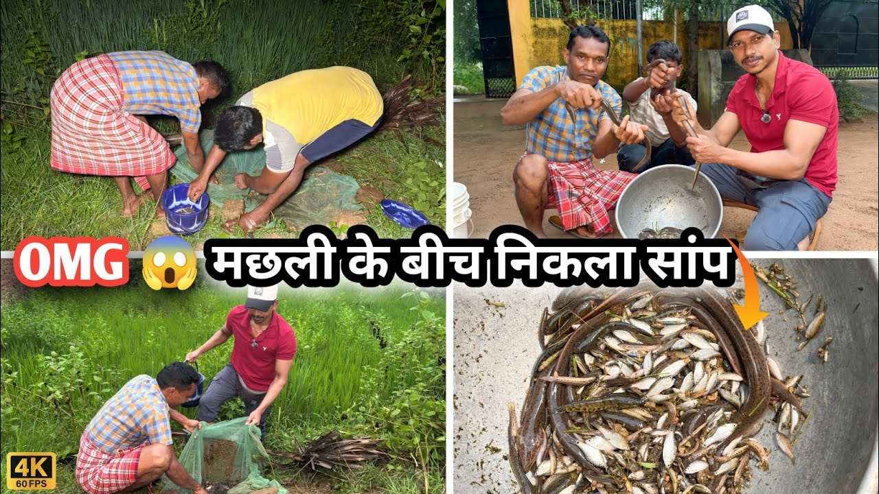 गाँव की असली मछली पकड़ने की ट्रिक 🎣🐍| जिसमें होता है खतरा भी😱! | Night Fishing 🐟||