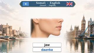 Soomaali — Ingiriisi Somali – English Lesson 3: body 2 — jirka 2