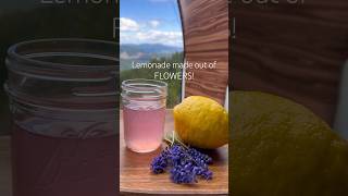 Grape Hyacinth Lemonade #foraging #wildfoods #femalevanlife #vanliving #grapehyacinthlemonade