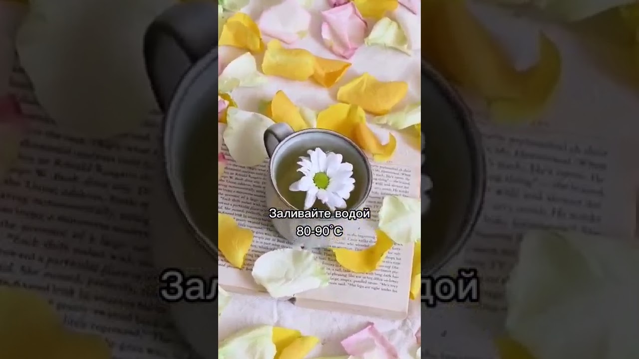 Как правильно заваривать саган дайля? | Как вкусно приготовить саган дайля? | #чай #какправильно