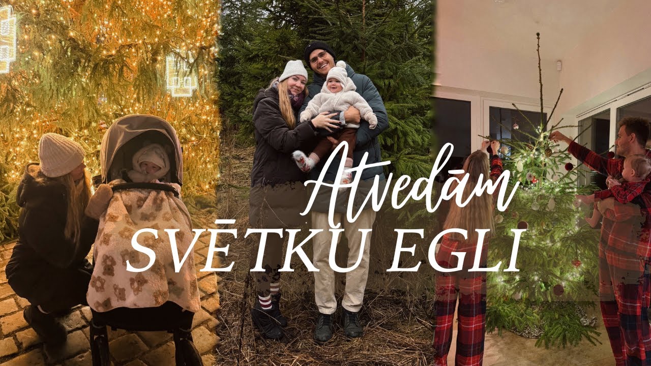 Gatavojamies svētkiem | Eglītes meklējumos & Vecrīgas tirdziņš