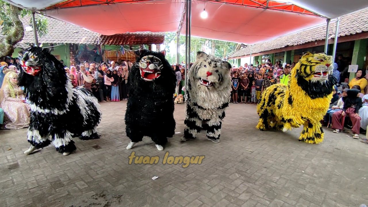 POCANG ANOM LIVE CAN MACANAN BALAKEK JOGET PARGOY//LIONSDANCE