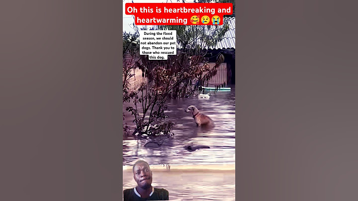 Oh this is heartbreaking and heartwarming 🥰😢😭 #respect  #animals  #love