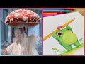 Cute Art Ideas That Will Boost Your Serotonin | Frogs &amp; Mushrooms Edition