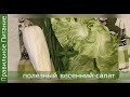 ПП .Полезный весенний салат. Proper Nutrition Vita St