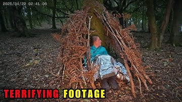 6 ontmoetingen in het bos waar je bang voor zult zijn