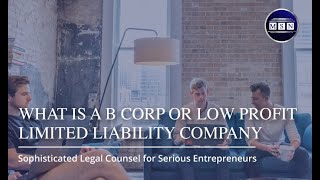 What is a B Corp or Low-Profit Limited Liability Company?