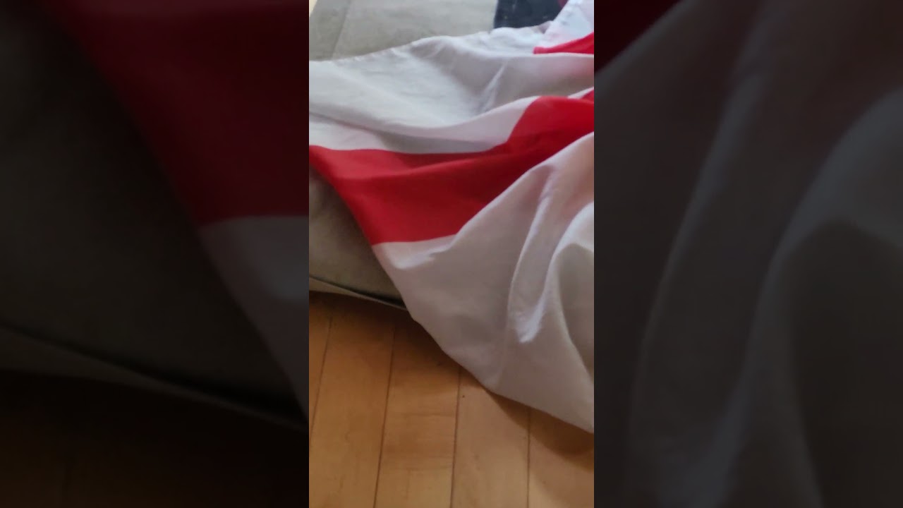 Chippy a Chipmunk 🐿 in the National Park in Richmond Hill Ontario Canada 