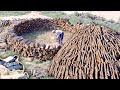 The CHARCOAL. Transformation of 10,000 kg of firewood into VEGETABLE CHARCOAL in nature