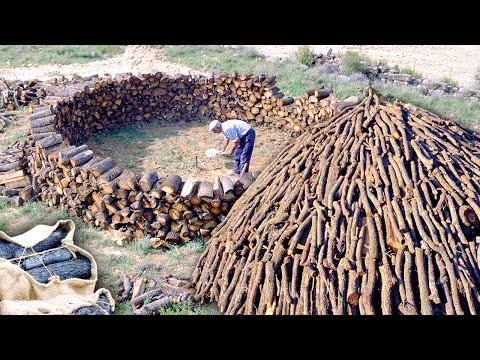 Video: ¿Se puede comer carbonero?