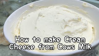 How to make Cream Cheese from Cows milk | homemade screenshot 1