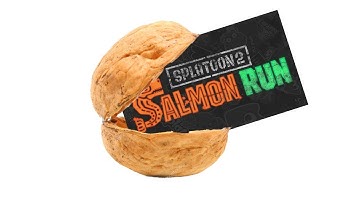 Splatoon 2 Salmon Run in a Nutshell