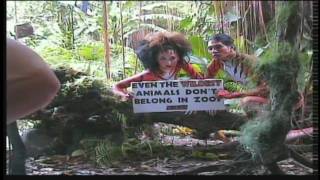 Borgy and Ornusa Speak Out Against Zoos