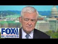 Gingrich: Biden, Dems big gov't 'socialists' with 'fantasy view of the world'