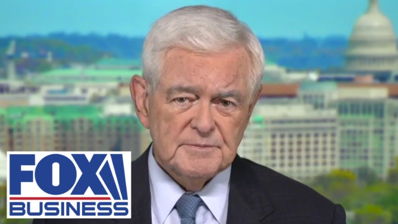 Gingrich: Biden, Dems big gov't 'socialists' with 'fantasy view of the world'