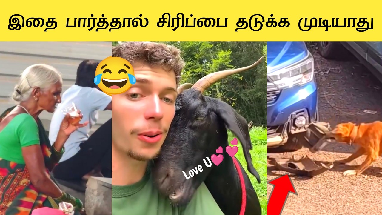 2026ல் நடந்த சிறந்த விலங்கு காமெடி சம்பவங்கள் 🤣 | Funny Animals Tamil | சிரிக்க தயாரா? 😂
