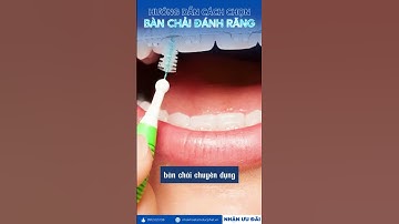 cách lựa chọn bàn chải đánh răng - ledudesign- edit video nghiệp dư
