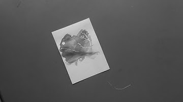 Quote of the day - Ink Drawings and Writings || Stop Motion Videos