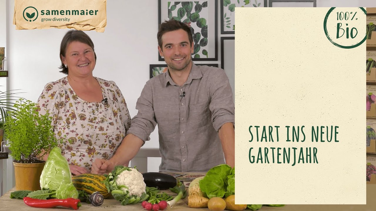 zitronengras saatgut SPERLI Zitronengras-Samen 'East Indian' kaufen – Mein schöner Garten Shop main image 0