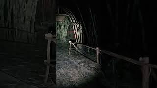 Download Lagu 🔴 Explore Misteri Hutan Bambu Keramat | TTM (Tim Trobos Mitos) - Heru Michu MP3